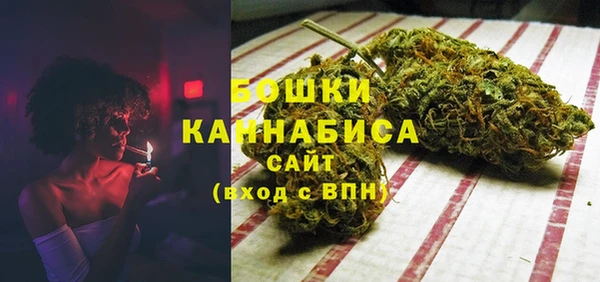 PSILOCYBIN Балабаново