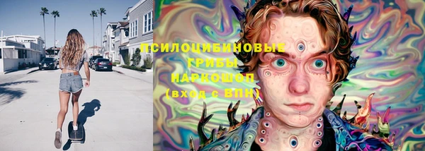 PSILOCYBIN Балабаново