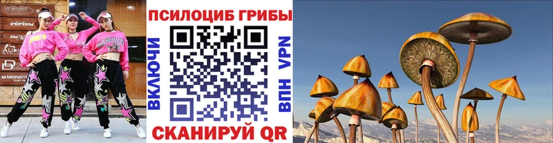 Псилоцибиновые грибы ЛСД как найти закладки Краснообск